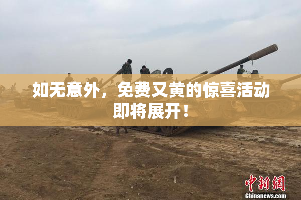 如无意外，免费又黄的惊喜活动即将展开！
