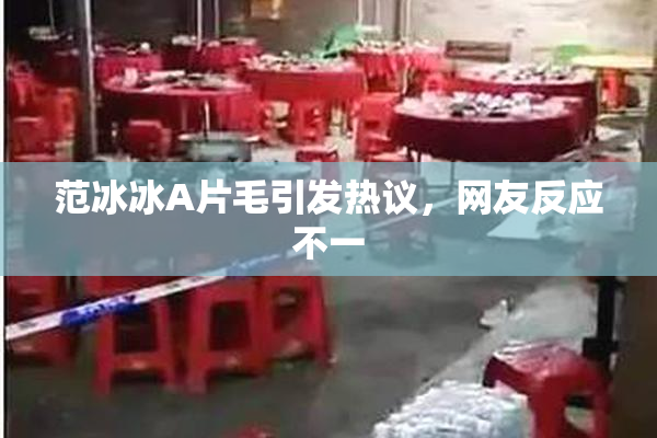 范冰冰A片毛引发热议，网友反应不一