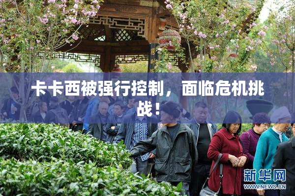 卡卡西被强行控制，面临危机挑战！