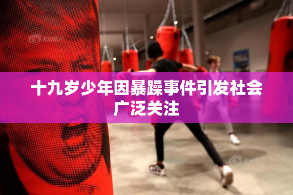 十九岁少年因暴躁事件引发社会广泛关注