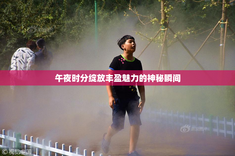 午夜时分绽放丰盈魅力的神秘瞬间
