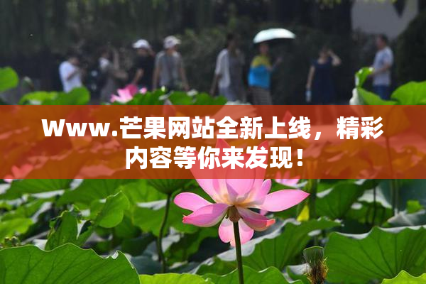 Www.芒果网站全新上线，精彩内容等你来发现！