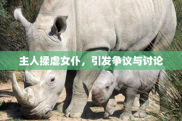 主人揉虐女仆，引发争议与讨论