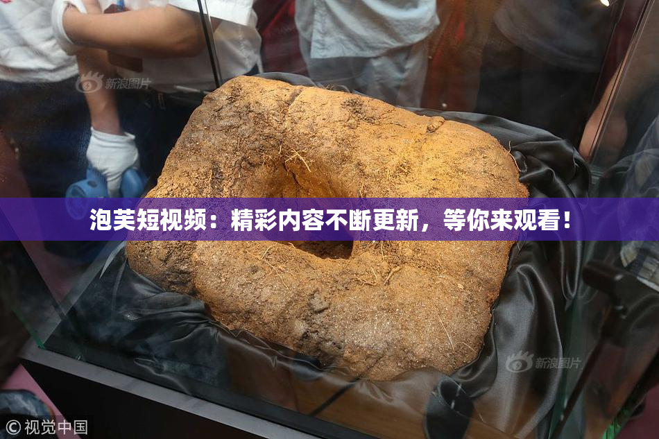 泡芙短视频：精彩内容不断更新，等你来观看！