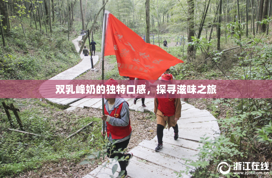 双乳峰奶的独特口感，探寻滋味之旅