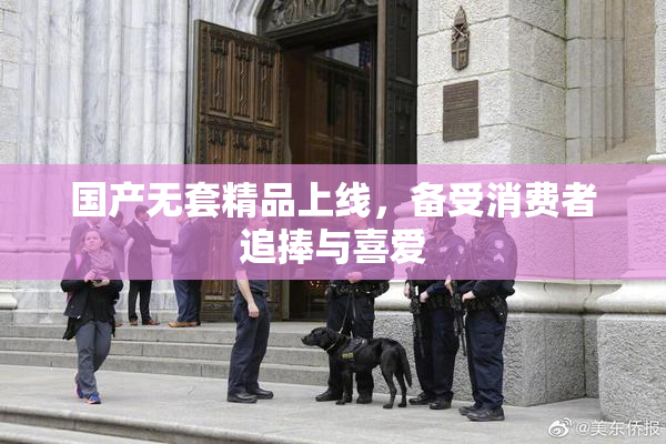国产无套精品上线，备受消费者追捧与喜爱