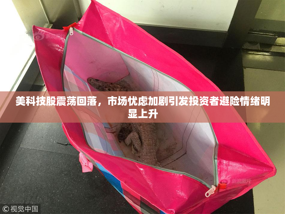 美科技股震荡回落，市场忧虑加剧引发投资者避险情绪明显上升