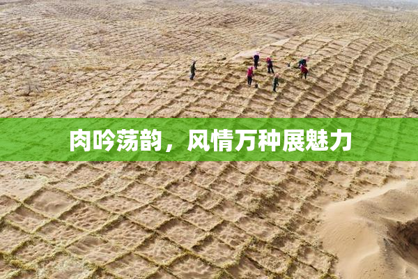 肉吟荡韵，风情万种展魅力
