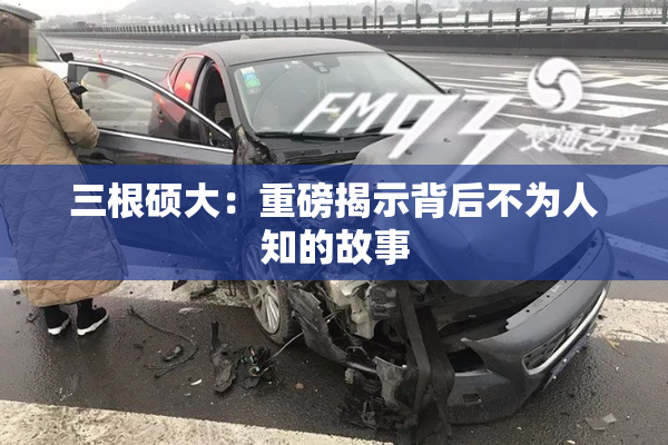 三根硕大：重磅揭示背后不为人知的故事