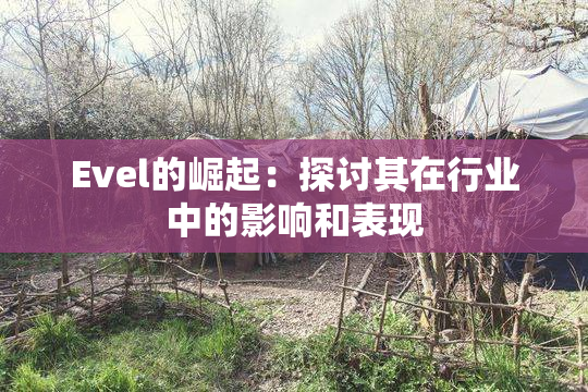 Evel的崛起：探讨其在行业中的影响和表现