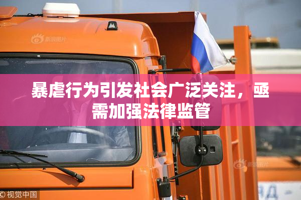 暴虐行为引发社会广泛关注，亟需加强法律监管