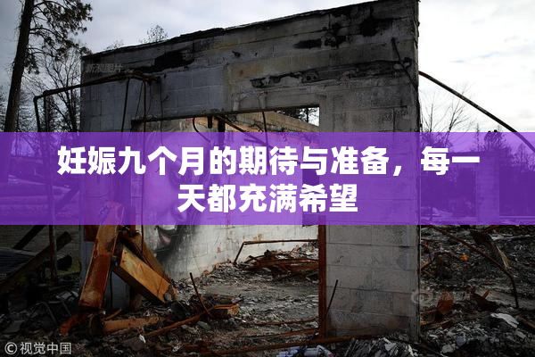 妊娠九个月的期待与准备，每一天都充满希望