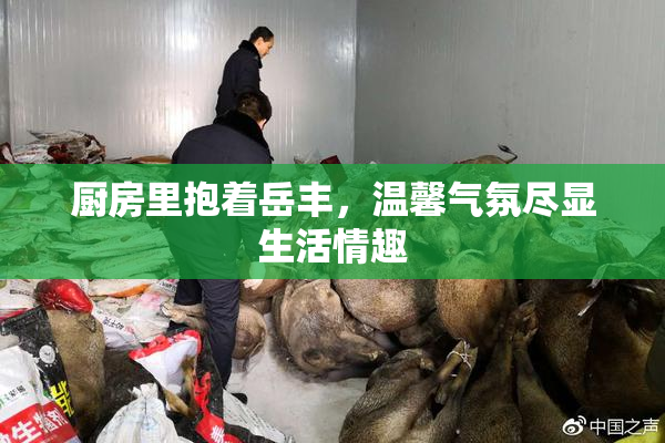 厨房里抱着岳丰，温馨气氛尽显生活情趣