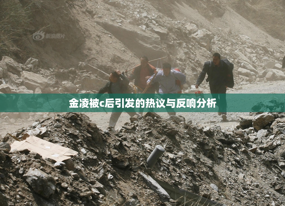 金凌被c后引发的热议与反响分析