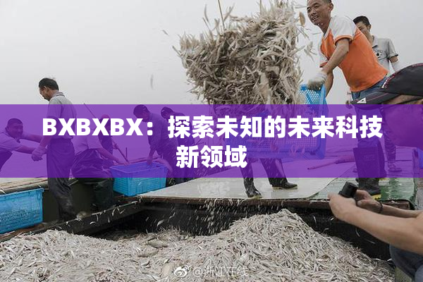 BXBXBX：探索未知的未来科技新领域