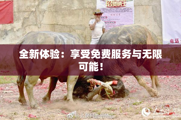 全新体验：享受免费服务与无限可能！