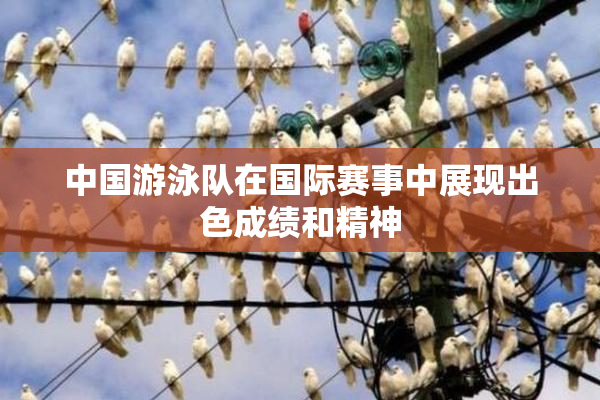 中国游泳队在国际赛事中展现出色成绩和精神