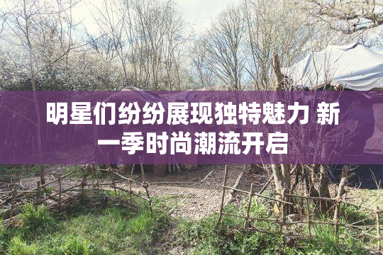明星们纷纷展现独特魅力 新一季时尚潮流开启