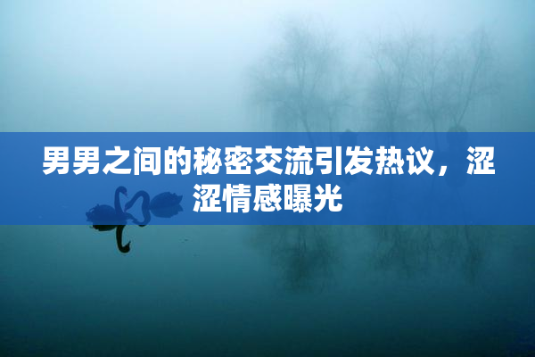 男男之间的秘密交流引发热议，涩涩情感曝光