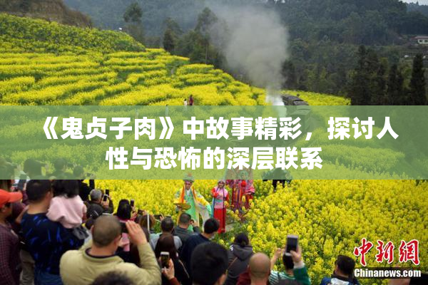 《鬼贞子肉》中故事精彩，探讨人性与恐怖的深层联系