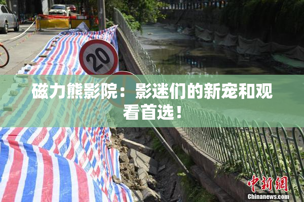 磁力熊影院：影迷们的新宠和观看首选！