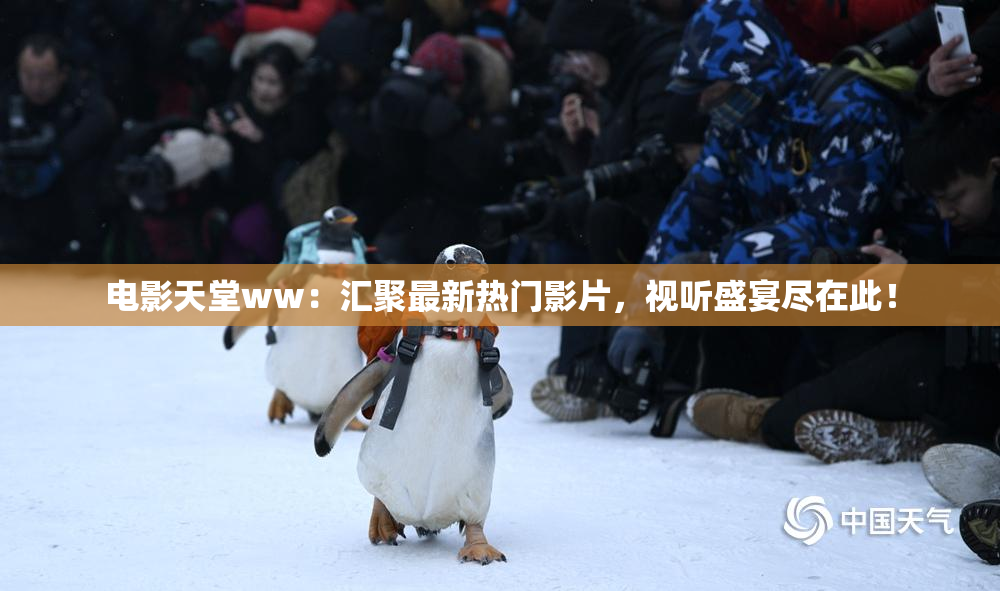 电影天堂ww：汇聚最新热门影片，视听盛宴尽在此！