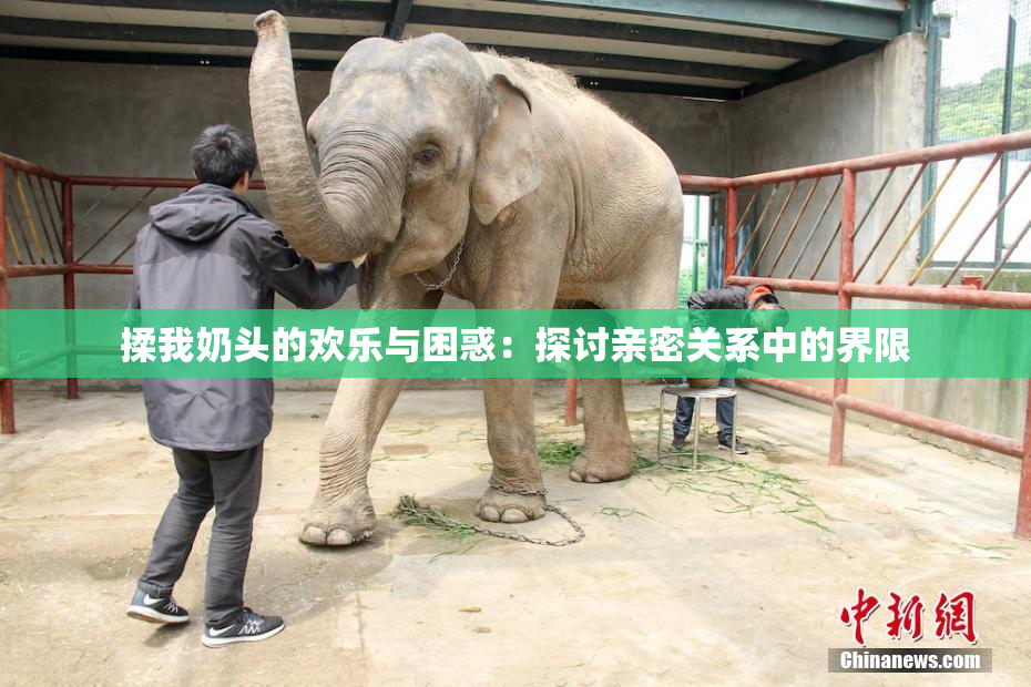 揉我奶头的欢乐与困惑：探讨亲密关系中的界限