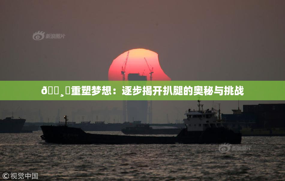 🌸‌重塑梦想：逐步揭开扒腿的奥秘与挑战