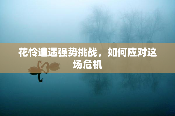 花怜遭遇强势挑战，如何应对这场危机