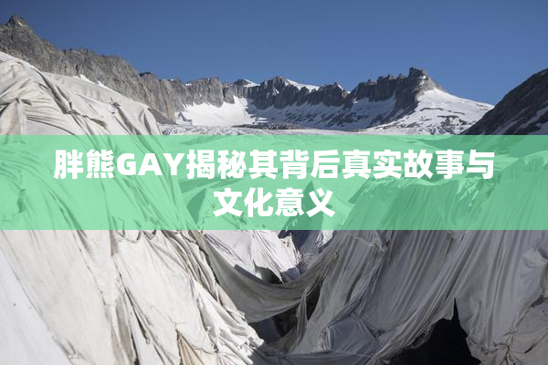 胖熊GAY揭秘其背后真实故事与文化意义