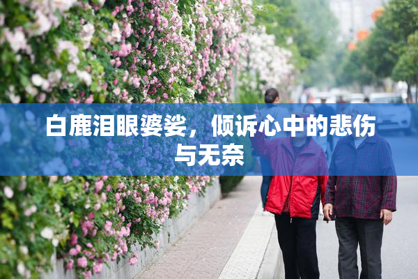 白鹿泪眼婆娑，倾诉心中的悲伤与无奈