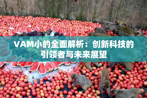 VAM小的全面解析：创新科技的引领者与未来展望