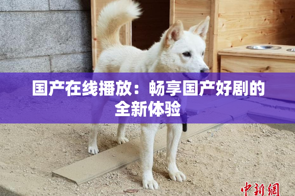 国产在线播放：畅享国产好剧的全新体验