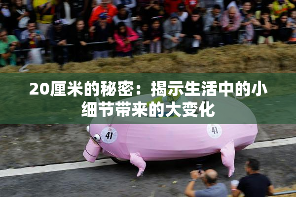 20厘米的秘密：揭示生活中的小细节带来的大变化