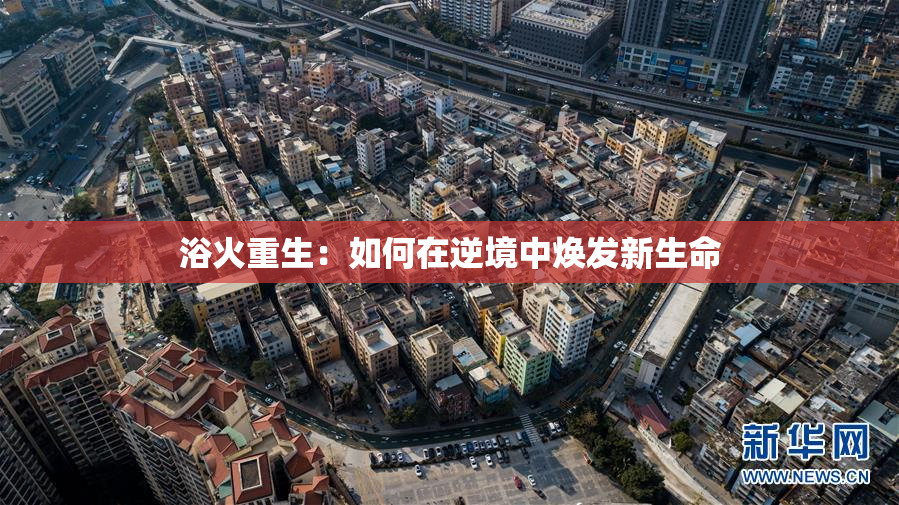 浴火重生：如何在逆境中焕发新生命