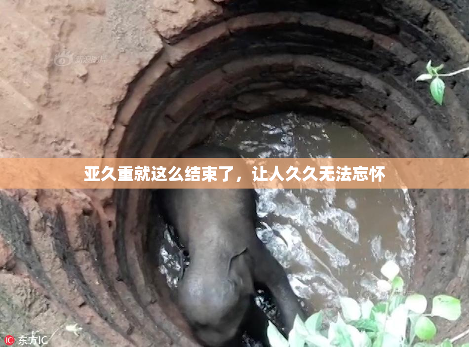 亚久重就这么结束了，让人久久无法忘怀