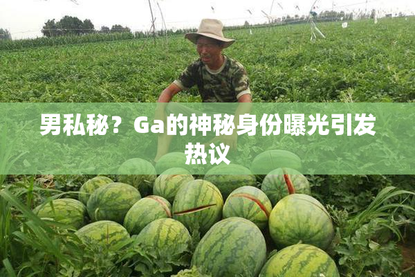 男私秘？Ga的神秘身份曝光引发热议