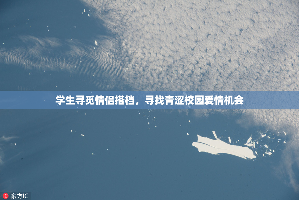 学生寻觅情侣搭档，寻找青涩校园爱情机会