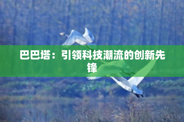 巴巴塔：引领科技潮流的创新先锋