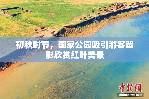 初秋时节，国家公园吸引游客留影欣赏红叶美景
