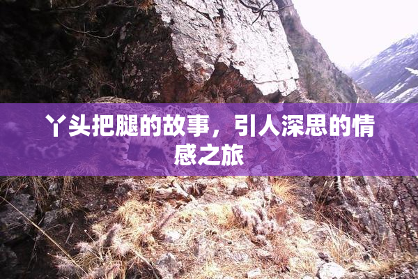 丫头把腿的故事，引人深思的情感之旅