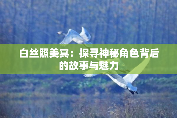 白丝照美冥：探寻神秘角色背后的故事与魅力