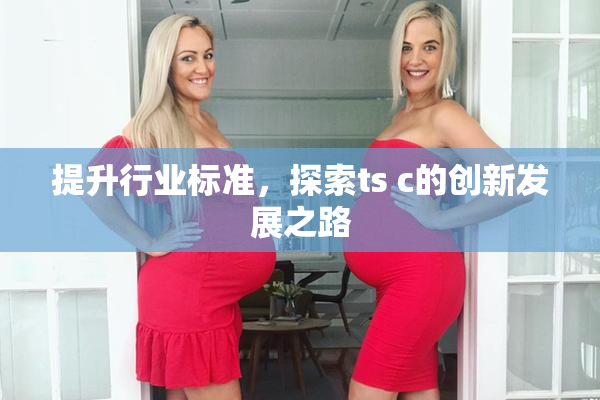 提升行业标准，探索ts c的创新发展之路