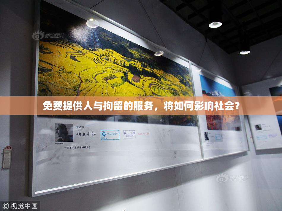 免费提供人与拘留的服务，将如何影响社会？