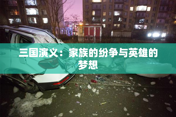 三国演义：家族的纷争与英雄的梦想