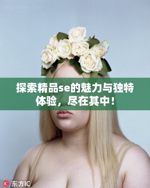 探索精品se的魅力与独特体验，尽在其中！