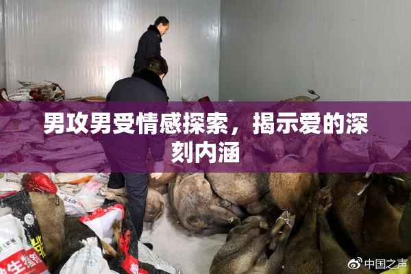 男攻男受情感探索，揭示爱的深刻内涵