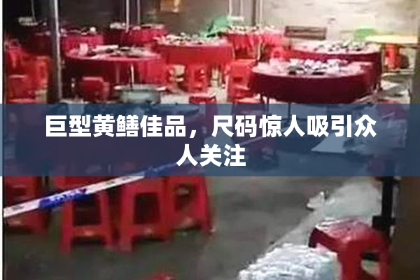 巨型黄鳝佳品，尺码惊人吸引众人关注