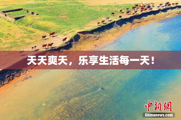 天天爽天，乐享生活每一天！