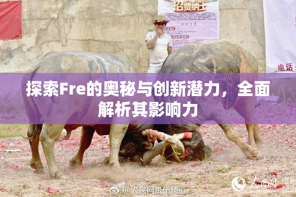 探索Fre的奥秘与创新潜力，全面解析其影响力